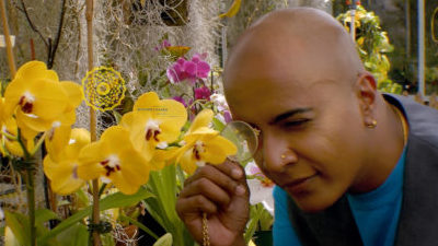A Black person with blue tshirt, a waistcoat, and gold jewellery is examining with a microscope a yellow flower in a greenhouse filled with greenery and colourful flowers.