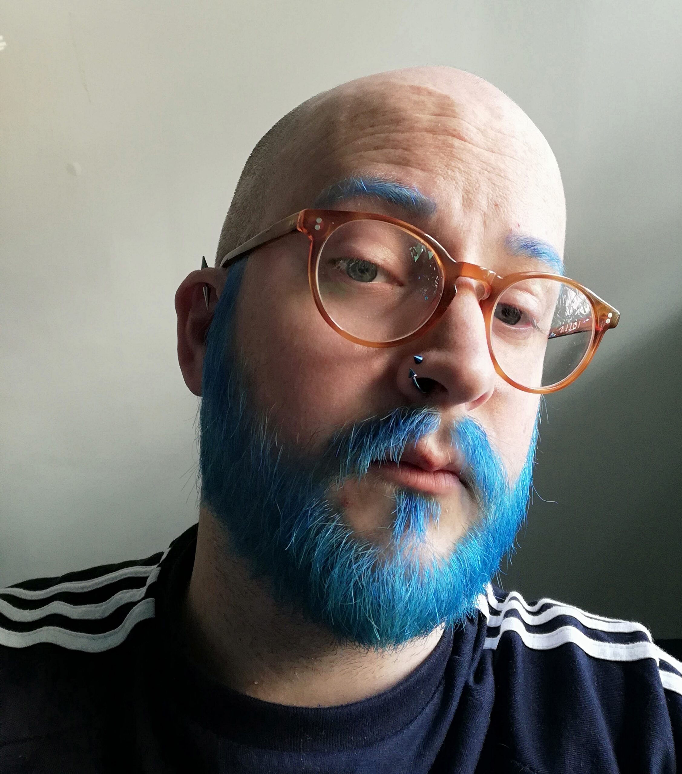 A non-binary white human with a shaved head, round brown glasses, blue beard and nose piercing leaning to the side.